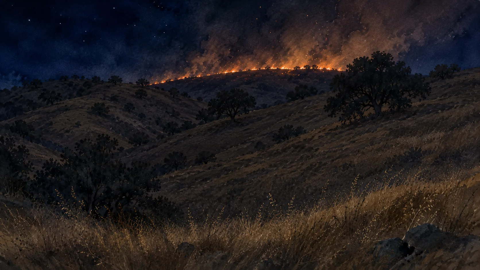 A broken line of flame running east to west along a dark grass-and-oak ridgeline under a starlit sky
