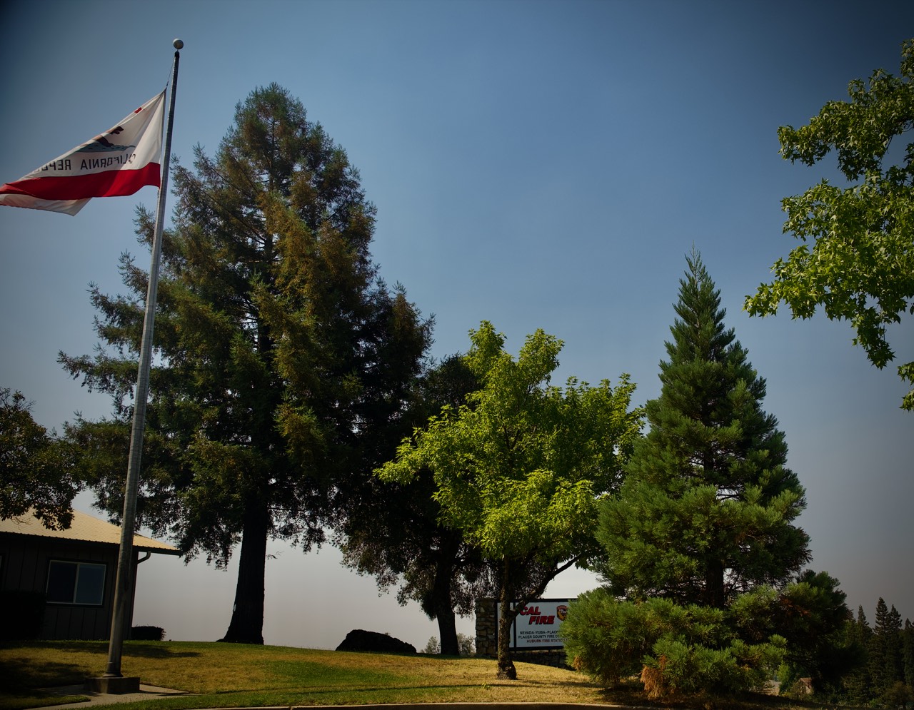 Two redwoods on the Station 10 lawn: a tall mature one beside the flagpole flying the California flag, and a smaller one further right behind the CAL FIRE unit sign