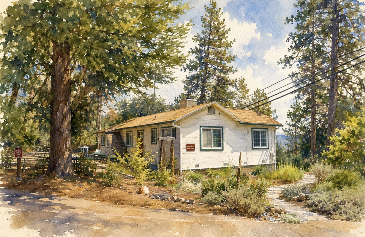 Watercolour of a small white single-storey residence with green window trim, standing under a large conifer beside a dirt road